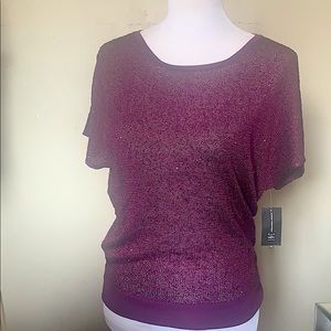 Sparkly partly sheer top perfect for the holidays